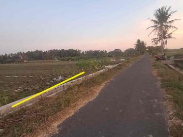 Dijual Sawah Selatan STM Argomulyo Sedayu Bantul
