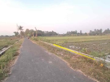 Dijual Sawah Selatan STM Argomulyo Sedayu Bantul
