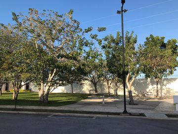 Casa en renta amueblada con piscina y páneles en privada