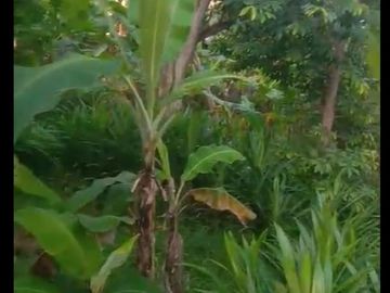 Tanah 280m2 sayap jln sayang, dkt unpad jatinangor