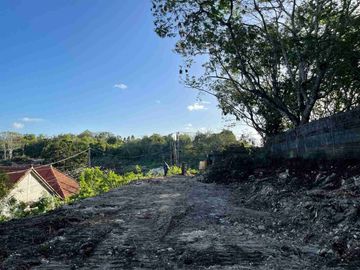 Tanah langka sangat cocok di bangun usaha dan villa berada di pinggir jalan raya
