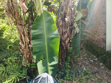 Dijual Tanah SHM di Wonorejo Gondangrejo Karangangar Jawa Tengah