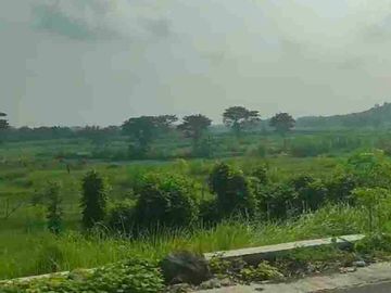 Tanah Murah Mangku Jalan di Sedayu Bantul