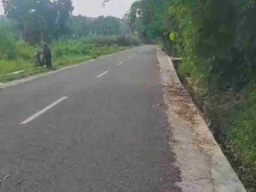 Tanah Murah Mangku Jalan di Sedayu Bantul