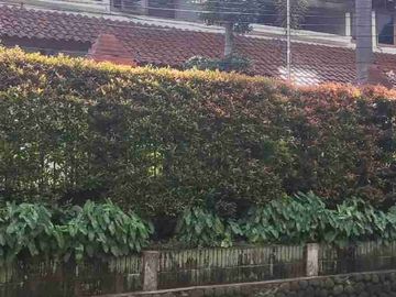 Dijual Cepat Rumah Kawasan Gandaria Selatan Super Bagus Harga Miring