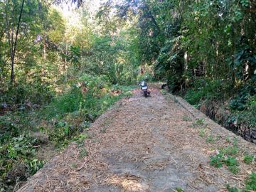 BU Tanah Pekarangan 1.505 m² Cuma Rp510 Juta di Pajangan Bantul — Bisa Kavling!
