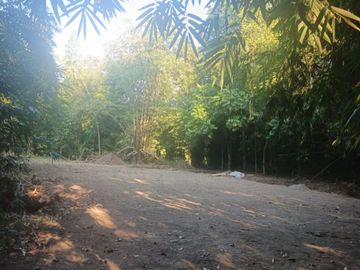 BU Tanah Pekarangan 1.505 m² Cuma Rp510 Juta di Pajangan Bantul — Bisa Kavling!