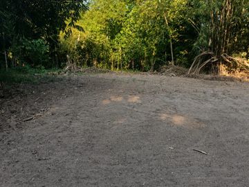 BU Tanah Pekarangan 1.505 m² Cuma Rp510 Juta di Pajangan Bantul — Bisa Kavling!