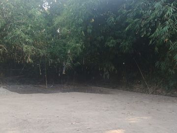 BU Tanah Pekarangan 1.505 m² Cuma Rp510 Juta di Pajangan Bantul — Bisa Kavling!