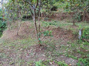 BISMILLAH DIJUAL TANAH & VILLA CIWIDEY BANDUNG JAWA BARAT