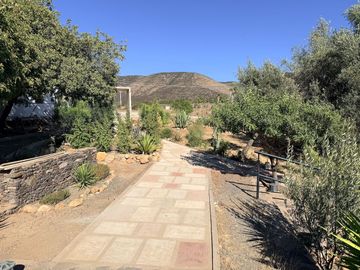 Salón comercial en renta en Valle de Guadalupe
