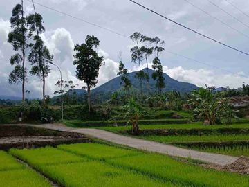 JUAL CEPAT TANAH MURAH CIWIDEY BANDUNG SELATAN