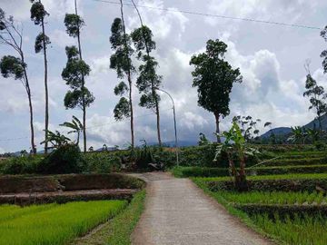 JUAL CEPAT TANAH MURAH CIWIDEY BANDUNG SELATAN