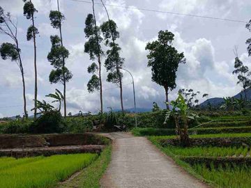 JUAL CEPAT TANAH MURAH CIWIDEY BANDUNG SELATAN