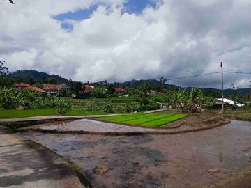 JUAL CEPAT TANAH MURAH CIWIDEY BANDUNG SELATAN