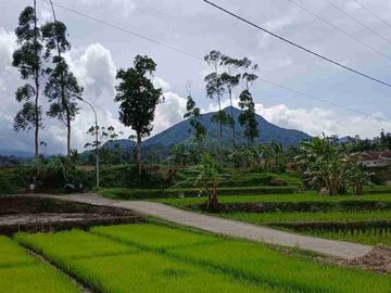 JUAL CEPAT TANAH MURAH CIWIDEY BANDUNG SELATAN