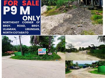 Bank-Foreclosed 9,492 sqm Vacant Lot in Libungan North Cotabato