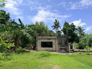 Spacious 4BR House on 1,721 sqm Lot for Sale in Consolacion