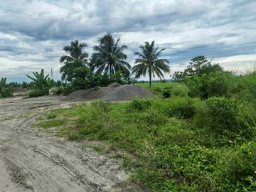 Bank-Foreclosed 4,932 sqm Commercial Vacant Lot in Pagkawayan, North Cotabato