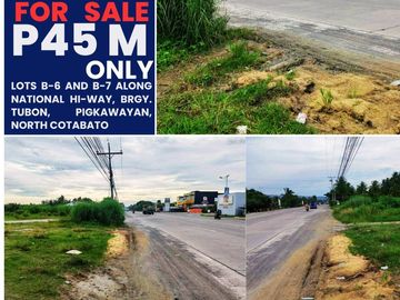 Bank-Foreclosed 4,932 sqm Commercial Vacant Lot in Pagkawayan, North Cotabato