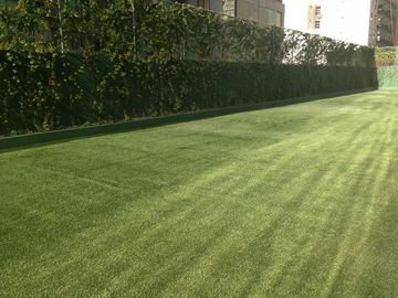 Departamento de 118 m2 en renta, 2 recámaras, Carso en Nuevo Polanco