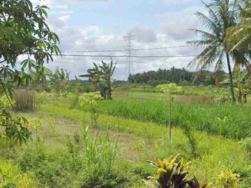 Tanah View Sawah dan perbukitan di Sogan Wates kulon Progo