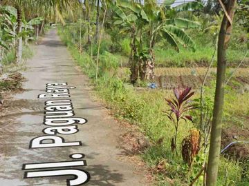Tanah View Sawah dan perbukitan di Sogan Wates kulon Progo