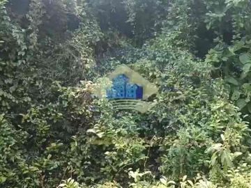 Jual Tanah dekat BSD Pagedangan Tangerang Banten