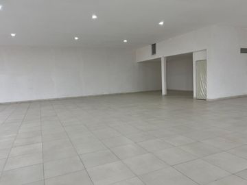 INMUEBLE COMERCIAL EN RENTA EN AV. ALUD, LEÓN,GTO