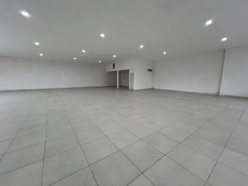 INMUEBLE COMERCIAL EN RENTA EN AV. ALUD, LEÓN,GTO