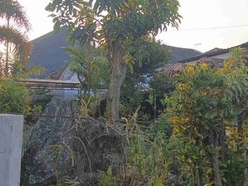 Rumah Vintage Malang Kota