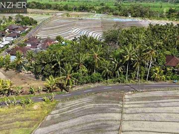 SALE!! TANAH VIEW SAWAH DAN GUNUNG, BERABAN TABANAN BALI