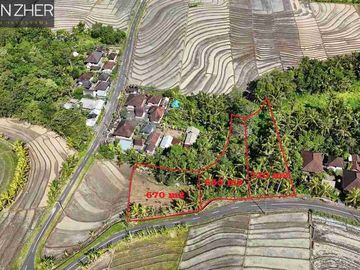 SALE!! TANAH VIEW SAWAH DAN GUNUNG, BERABAN TABANAN BALI