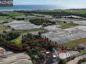 SALE!! TANAH VIEW SAWAH DAN GUNUNG, BERABAN TABANAN BALI