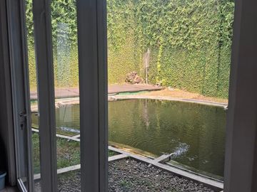 Disewakan Rumah siap hunian di menteng LB 650 M² LT 780 M²