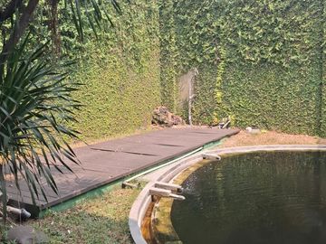Disewakan Rumah siap hunian di menteng LB 650 M² LT 780 M²
