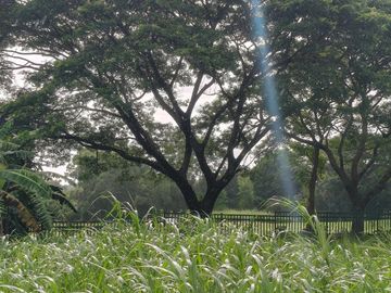 768  sqm Fariway Lot in Eagle Ridge Golf & Country Club 50% discount