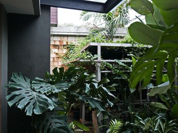 Rumah Mewah Siap Huni Di Cempaka Putih Jakarta Pusat