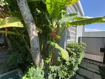 DIJUAL RUMAH PROMO PODOMORO PARK BANDUNG CLUSTER BRAHMAPURI