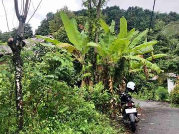 Kebun 600 M2 depan Aspal Dekat Bilibili