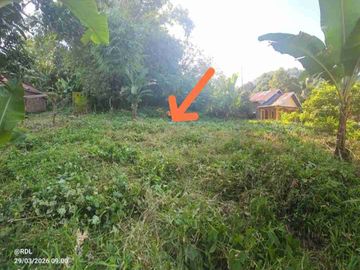 Kebun 600 M2 depan Aspal Dekat Bilibili