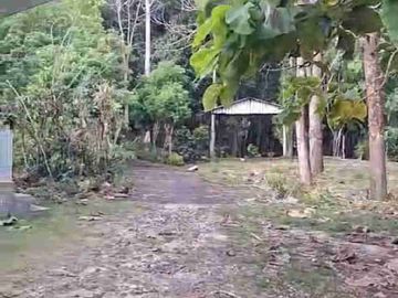 Tanah bagus dekat hotel mewah dan kawasan pariwisata sangat cocok untuk villa dan hunian lainnya