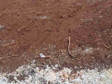 Tanah bagus sangat langka cocok untuk villa dan hunian lain nya