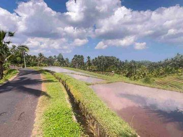 jual tanah kebun luas kecil los sungai di selemadeg tabanan bali.