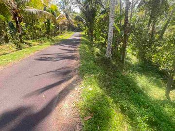 jual tanah kebun luas kecil los sungai di selemadeg tabanan bali.