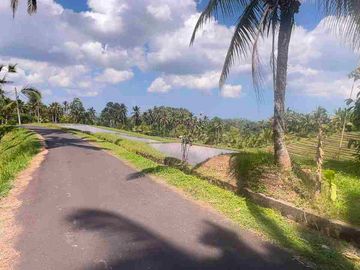 jual tanah kebun luas kecil los sungai di selemadeg tabanan bali.