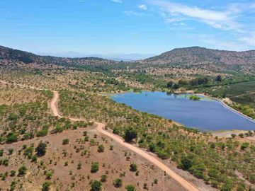 Parcela en Venta Plana a Una hora de San Fernando en Marchigüe