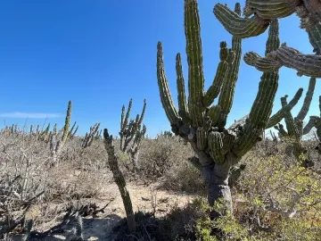 Terreno en venta en Agua Blanca, Baja California Sur, cerca de la playa