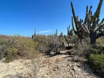 Terreno en venta en Agua Blanca, Baja California Sur, cerca de la playa