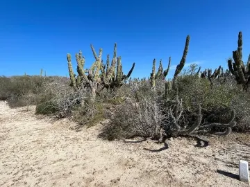 Terreno en venta en Agua Blanca, Baja California Sur, cerca de la playa